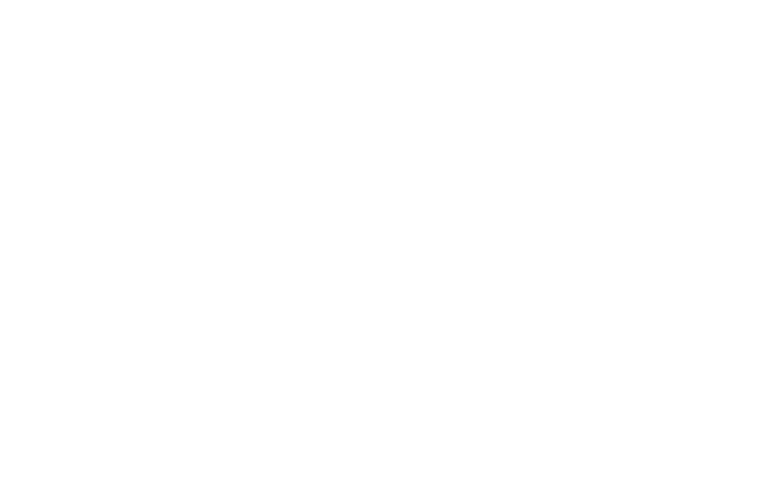 Phoenix Review