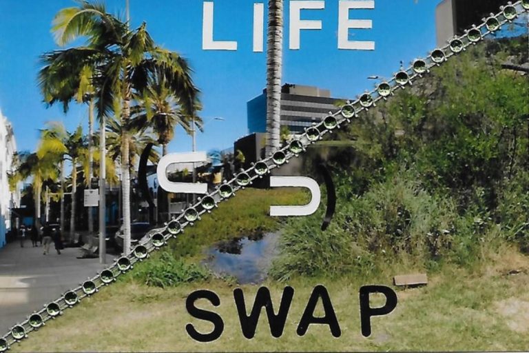 Life Swap