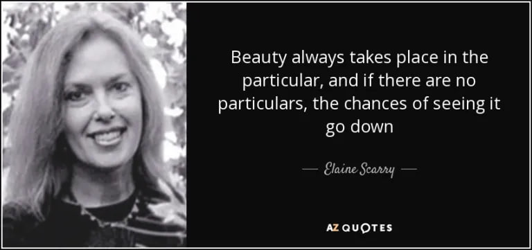 On Beauty and Being Just by Elaine Scarry