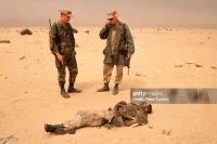 Susan Sontag’s Critique of War Photography